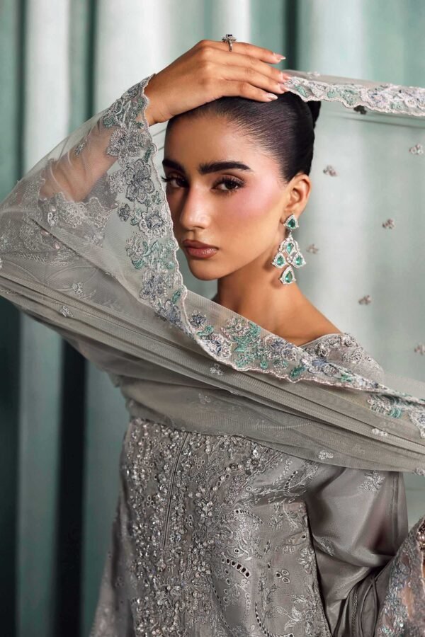 3 Piece Embroidered Tissue Silk Suit - Grey