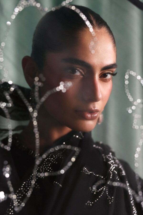 Embellished Chiffon Saree - Black