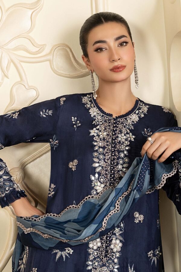 3 Piece Embroidered Tissue Silk Suit - Blue